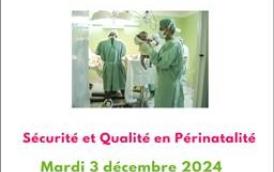 19ème journée annuelle des Réseaux Périnat