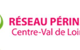 RESEAU PERINAT