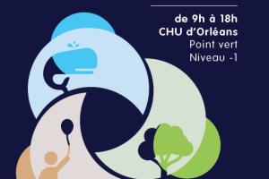 CHU - Jeudi 16 Octobre